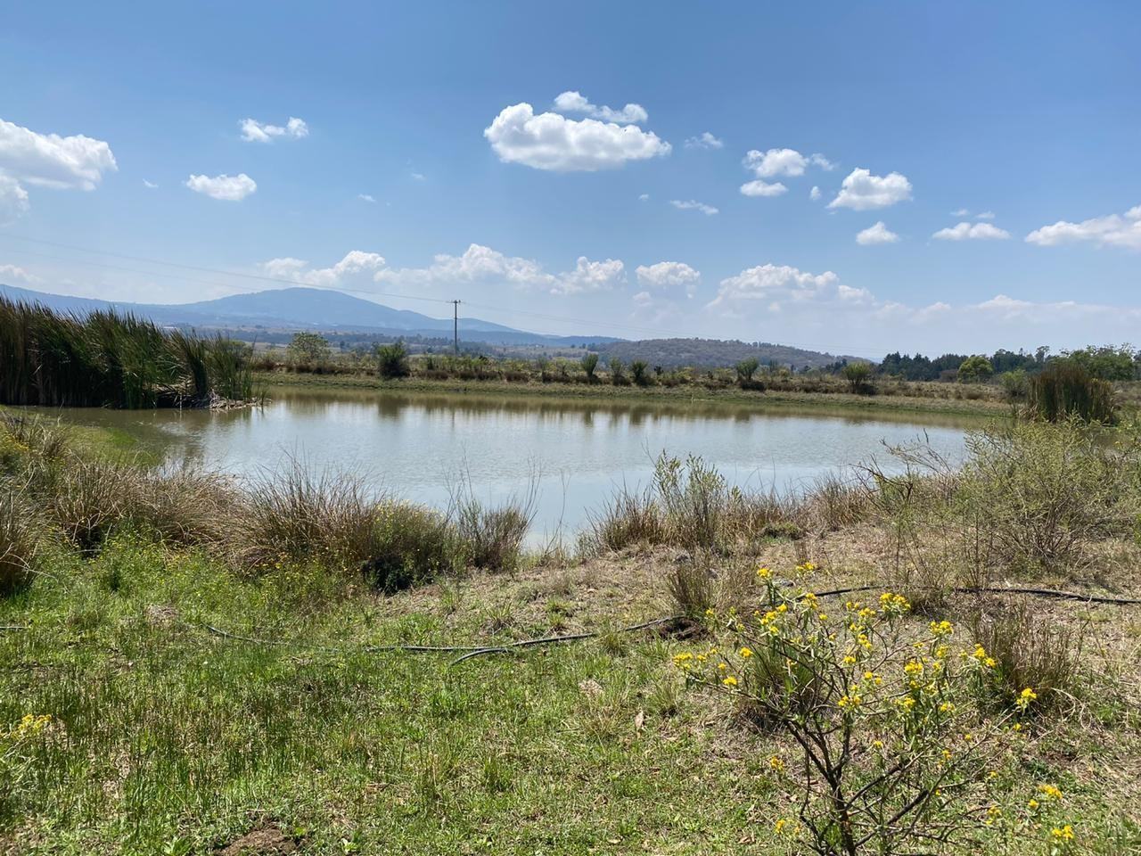 Rancho de 4 hectáreas en Amealco, Querétaro. ideal para siembra, terreno plano y dos bordos de agua.